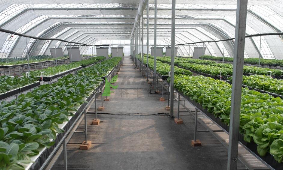 現(xiàn)代化種植大棚