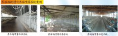 噴霧降溫消毒除臭系統(tǒng)實(shí)現(xiàn)現(xiàn)代化養(yǎng)殖